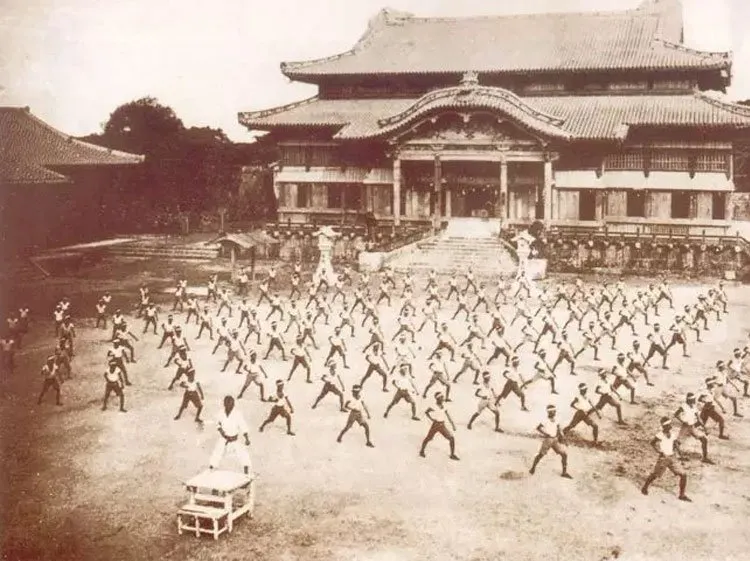 Martial artists practicing in structured rows in front of a temple (In sepia)